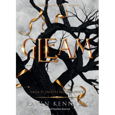 Gleam - Raven Kennedy
