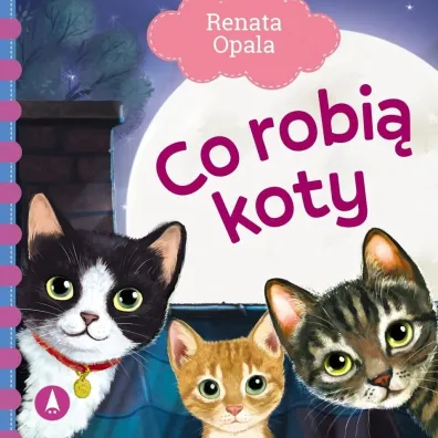 Co robi� koty