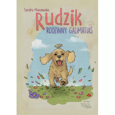 Rudzik. Rodzinny galimatias - Sandra  Mianowska