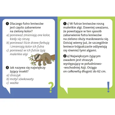 Dlaczego leniwiec jest leniwy?
