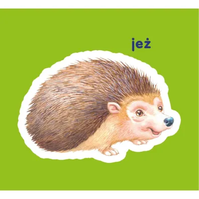 Zwierz�ta le�ne