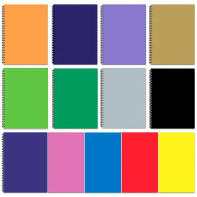Penmate Brulion B5 w spirali z przek�adkami kratka 120 kartek