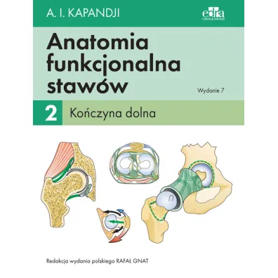 Ko�czyna dolna. Anatomia funkcjonalna staw�w. Tom 2 - Adalbert Ibrahim Kapandji