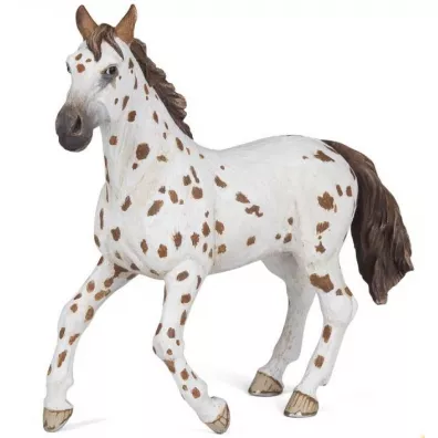 Klacz Appaloosa
