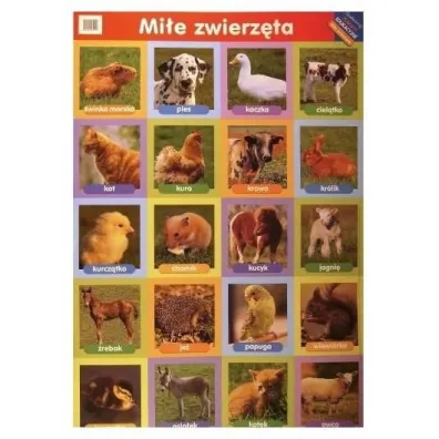 50 zada� na poprawienie sprawno�ci umys�owej. �amig��wki m�drej g��wki - S�awomir W�jcik
