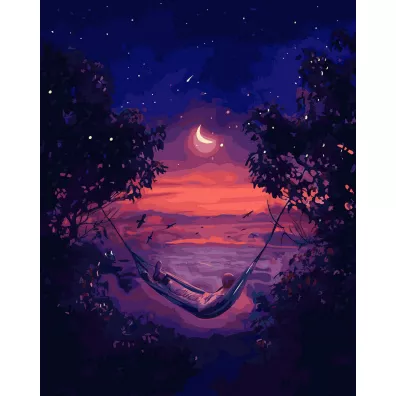 Twoje Hobby Malowanie po numerach - Spojrzenie w przysz�o�� 40x50cm