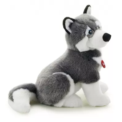 Husky Marcus L Trudi