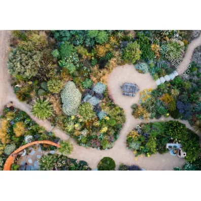 The New Beautiful. Gardens Illustrated