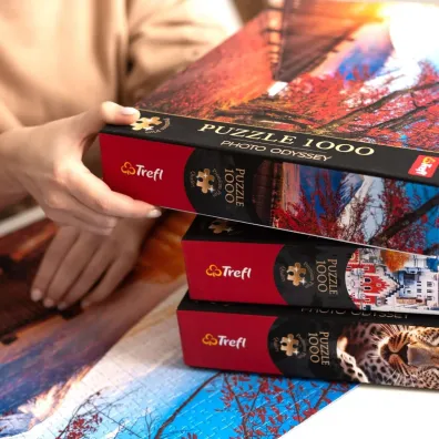 Puzzle 1000 el. Premium Plus Quality Photo Odyssey: Spirit Island, Kanada Trefl