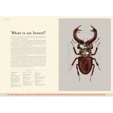 Insectarium