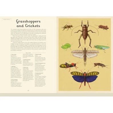 Insectarium