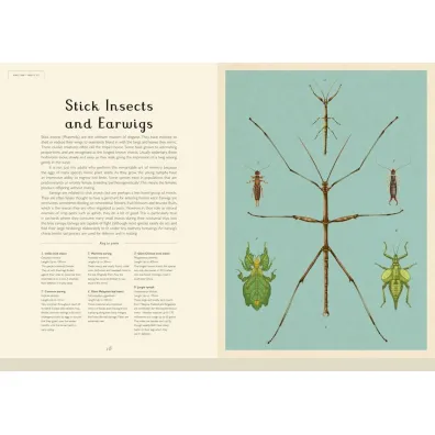 Insectarium