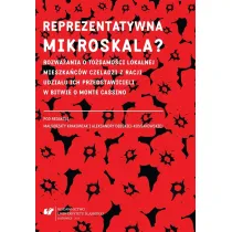 Reprezentatywna mikroskala?