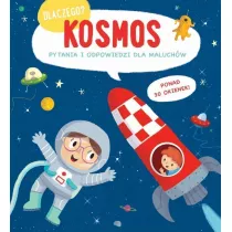 Kosmos. Dlaczego?