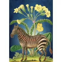 Madame Treacle Karnet B6 z kopert Zebra