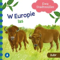 Ksi��eczka 162X162 TW W Europie. Las. �ubr SKRZAT 077490 SK
