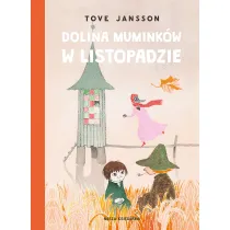 Dolina Muminkw w listopadzie
