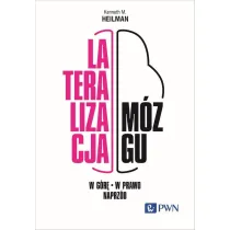 Lateralizacja m�zgu. W g�r� – w prawo - naprz�d
