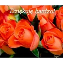 Dziekuj� bardzo. Pere�ka