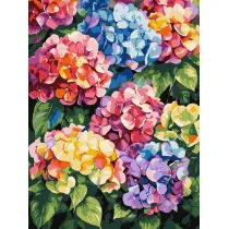 Ideyka Malowanie po numerach - Wielokolorowe hortensje