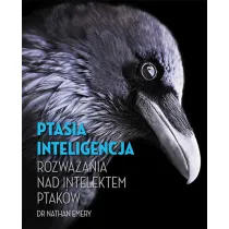 Ptasia inteligencja