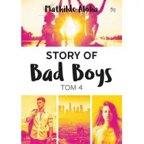 Story of Bad Boys. Tom 4