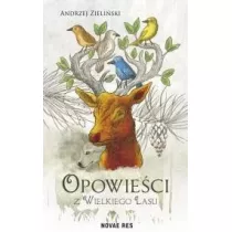 Opowieci z wielkiego lasu