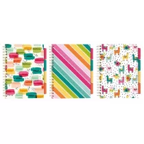 Pukka Pad Pukka Project Book Colour Wash B5 zestaw 3 szt. linia 100 kartek