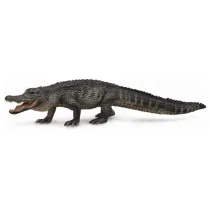 Aligator ameryka�ski