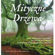Mityczne drzewa mity wierzenia i legendy lecznicza moc drzew odwieczna więź człowieka i drzewa