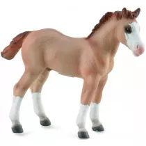 rebi Red Dun