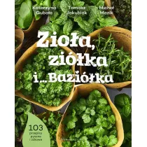 Zioa, zika i Bazika