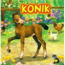 Konik JAFI