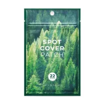 Skin1004 Madagascar Centella Spot Cover plasterki na niedoskona�o�ci 22 szt.