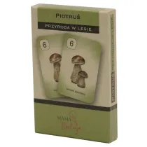 Karty Piotru� Przyroda w lesie