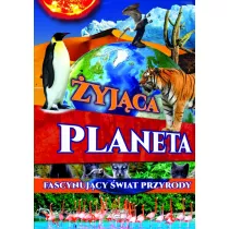 yjca planeta