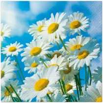 Paw Serwetki Lunch Tete a Tete Sun Daisies 33x33 20szt./op.