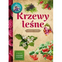 M�ody obserwator przyrody. Krzewy le�ne