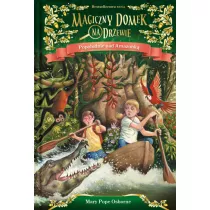 Popoudnie nad Amazonk. Magiczny domek na drzewie. Tom 6
