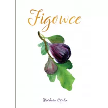 Figowce