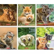 Herlitz Zeszyt A5 Animals kratka 32 kartki 10 szt.