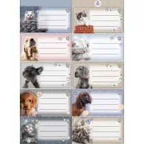 Beniamin Naklejki na zeszyty pasek The Sweet Pets