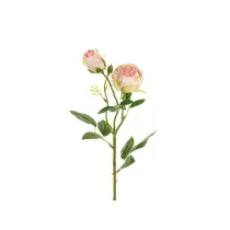Ra z dwoma pkami 55cm