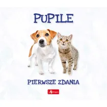 Pupile. Pierwsze zdania