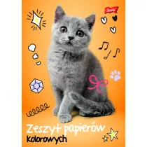 St. Majewski Zeszyt papier�w kolorowych A5