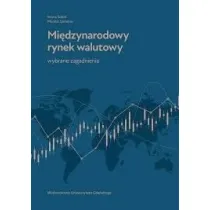 Mi�dzynarodowy rynek walutowy. Wybrane zagadnienia