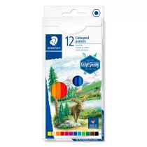 Staedtler Kredki o��wkowe Design Journey, sze�ciok�tne 12 szt.