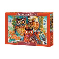 Puzzle 2000 el. Sowy Castorland