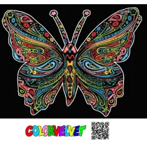 Kolorowanka Welwetowa 47x35 cm Motyl