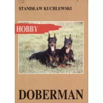 Doberman